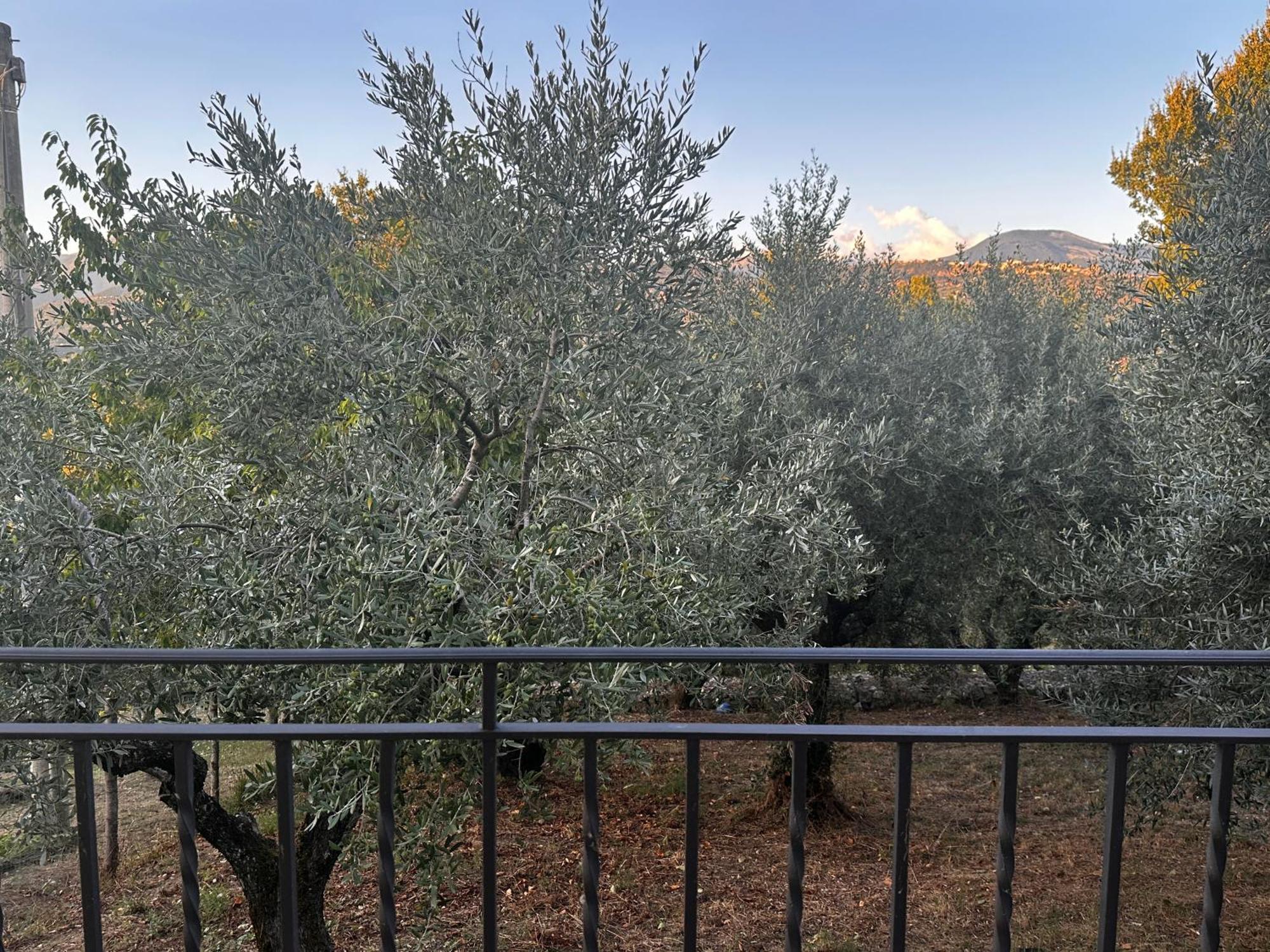 Apartmán La Casa In Collina Veroli Exteriér fotografie